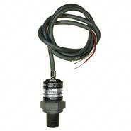 MSP-300-250-P-4-N-1