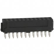 DF11-24DS-2DSA(06)
