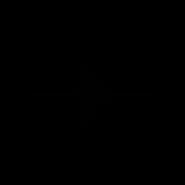 L1SS355