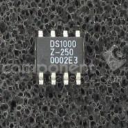DS1000Z-250