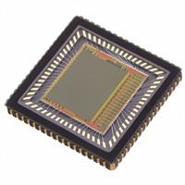 NOIV1SN5000A-QDC -  Brand New onsemi Image Sensors