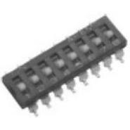 DM06