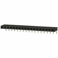 PPPC181LGBN-RC