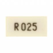 FCSL64R025FER