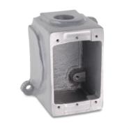 B100