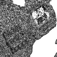 106123-0300