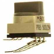 PT65503L254
