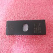 AM27C1024-120DI