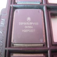 DSP56303PV100