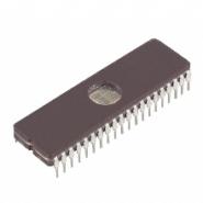 DS87C520WCL
