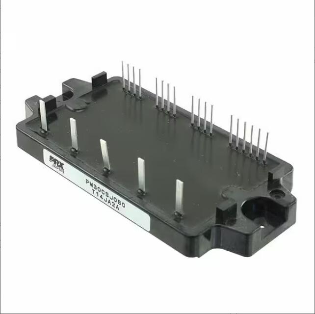 PM15CSJ060